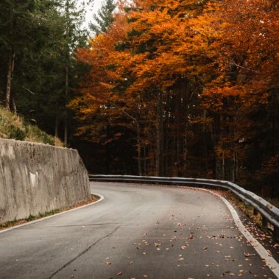 autumn